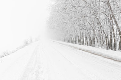 Snow covered road amidst trees during winter