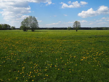 Scenic view of field against cloudy sky