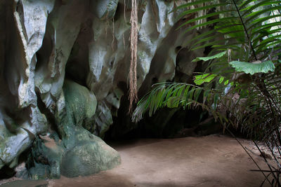 Close-up of rock formation in cave