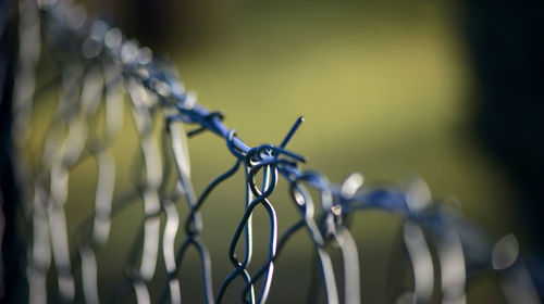 Close-up of barbed wire fence