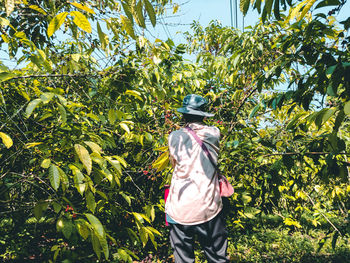 Rear view of person standing in berry farm