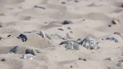 Close-up of sand and flint at beach