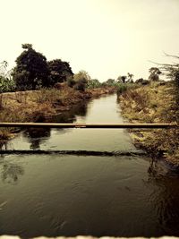 Reflection of trees in river