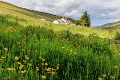 Scenic view of field against cloudy sky