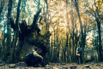 Man sitting by tree trunk in forest