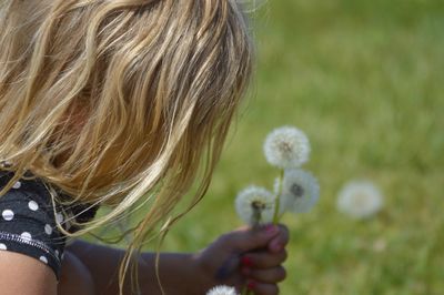 Close-up of girl picking dandelions on field