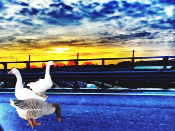View of cloudy sky at sunset
