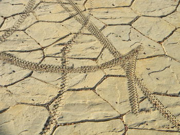 High angle view of tire tracks on sand