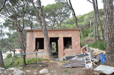 Abandoned house