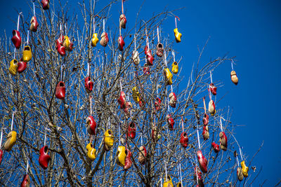 Low angle view of fruits on tree against clear blue sky