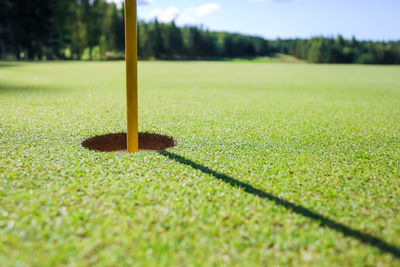 Surface level of golf ball on field