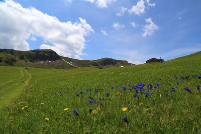 Scenic view of landscape