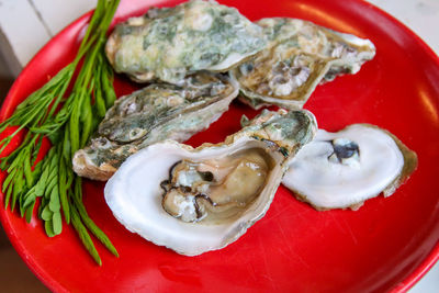 High angle view of seafood in plate