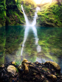 Scenic view of waterfall in forest