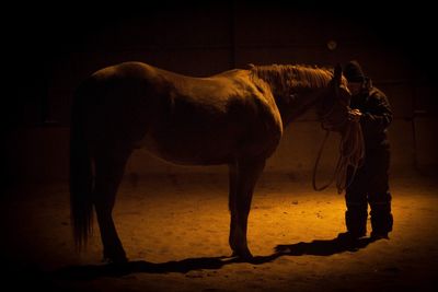 Man standing with horse on sand at night