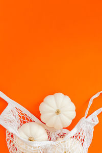 Close-up of white flower against orange background