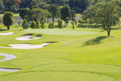 High angle view of golf course