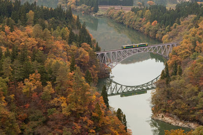 Bridge over river amidst trees during autumn