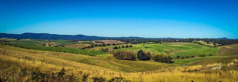 Scenic view of landscape against clear sky