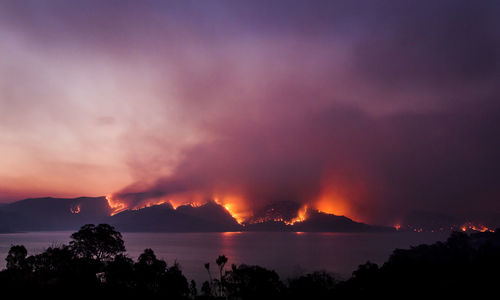 High angle view of forest fire