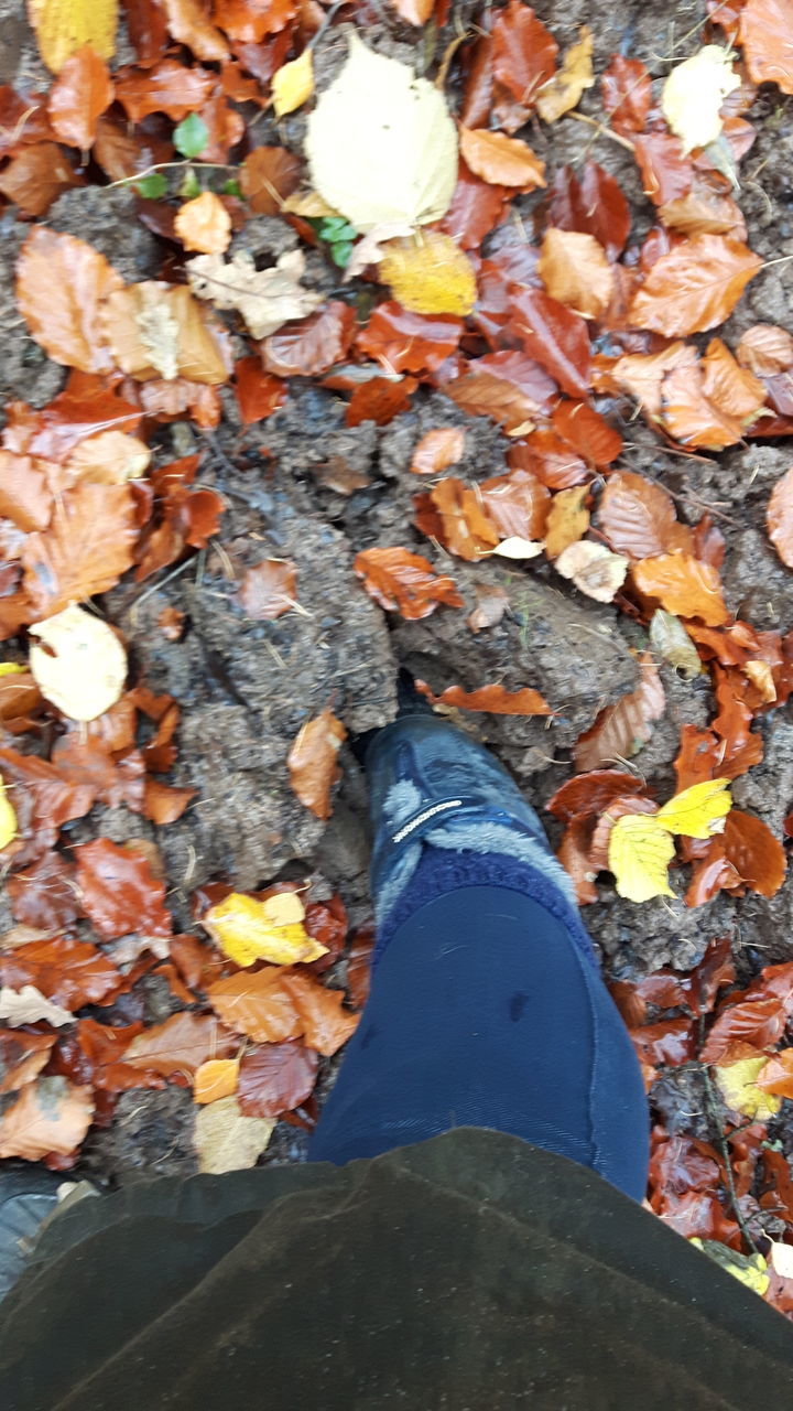 LOW SECTION OF PERSON STANDING ON AUTUMN LEAVES