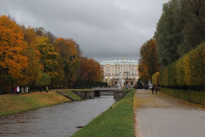 View of trees in park during autumn