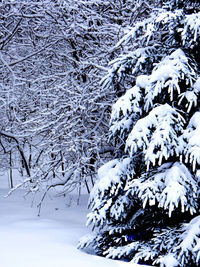 Close-up of snow