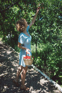 Full length of woman picking strawberries