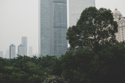 Trees and modern buildings against sky