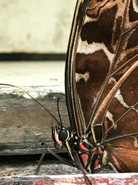 Close-up of motorcycle