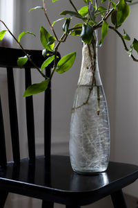 Twigs with leaves in glass bottle