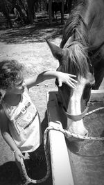 Rear view of girl with horse