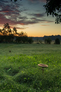 Scenic view of field against sky at sunset