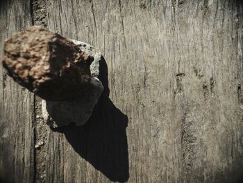 Close-up of a shadow of man