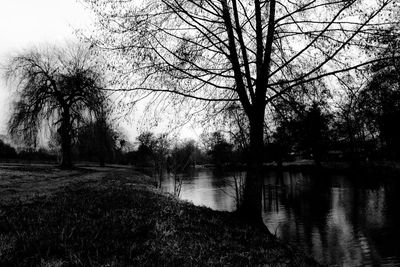 Scenic view of lake in forest against sky