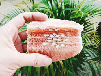 Close-up of hand holding grapefruit