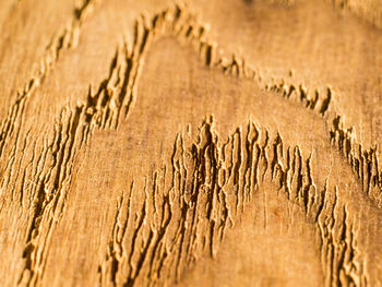 Full frame shot of text on sand at beach