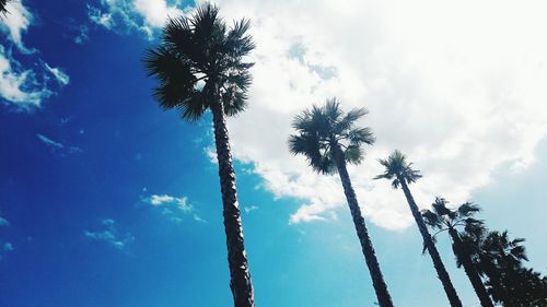 Low angle view of tree against cloudy sky