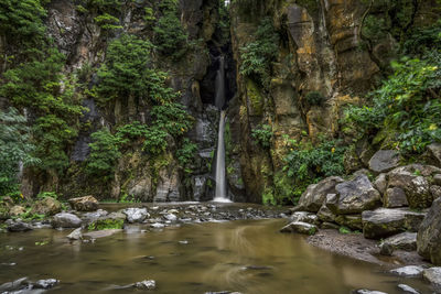 Scenic view of waterfall at forest