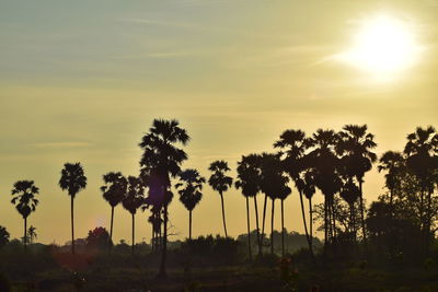 Silhouette trees against sky during sunset