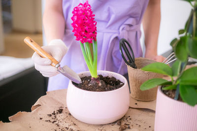 Close-up of potted plant on table