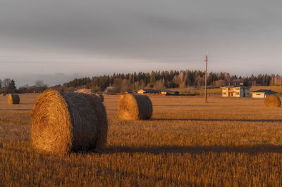 Hay bales on field against evening sunset sky