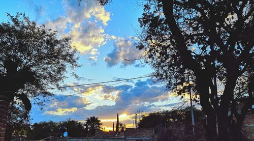 Low angle view of silhouette trees against sky at sunset