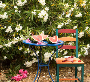 Fruits on table and chair at yard