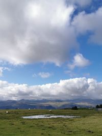 Scenic view of field against sky