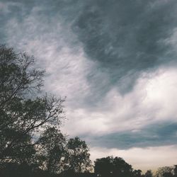 Low angle view of tree against cloudy sky
