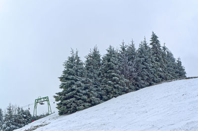 Snow covered trees on the ski piste