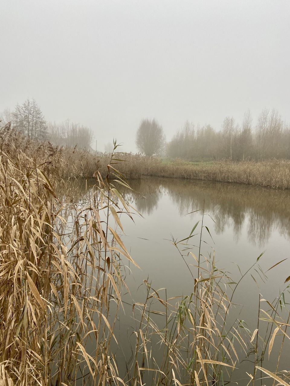 SCENIC VIEW OF LAKE BY LANDSCAPE AGAINST SKY