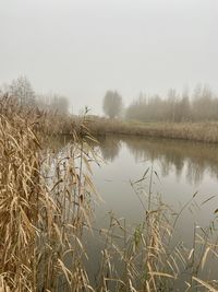 Scenic view of lake against sky