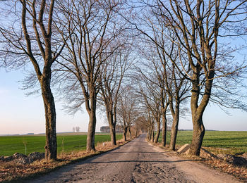 Road amidst bare trees against sky